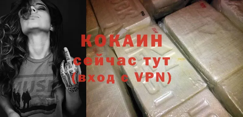 COCAIN FishScale Сыктывкар